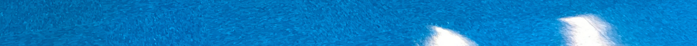 Floor Cleaning Services